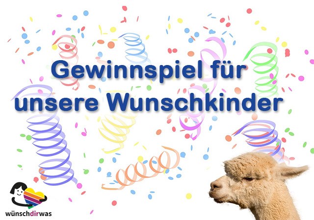 Video-Wettbewerb